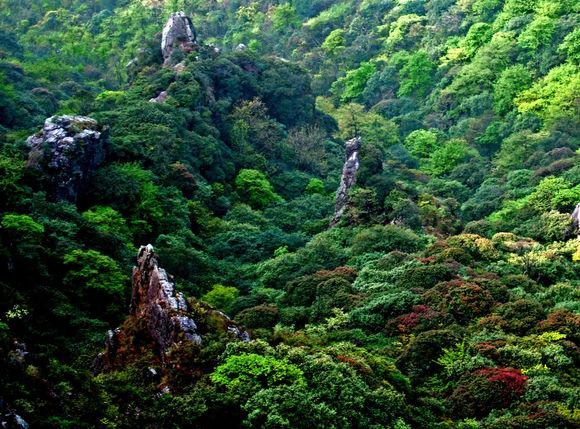 桂东旅游景点:桂东最值得去游览的十个地方