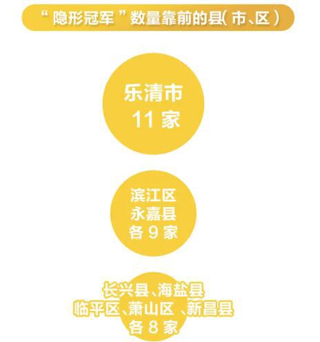 赞！永嘉省级“隐形冠军”企业增加为9家，位列全省县级第二，山区26县第一！