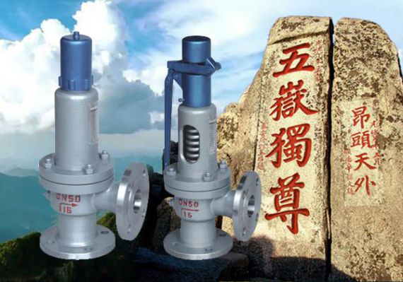 上海五岳泵阀集团：弹簧式安全阀在工业中的