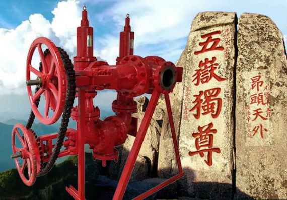 上海五岳泵阀集团：安全阀切换装置在工业系