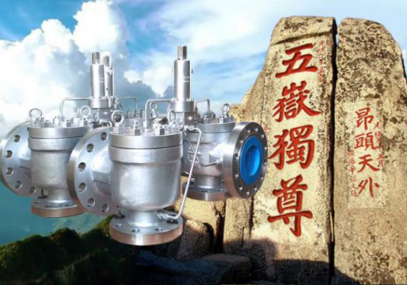 上海五岳泵阀集团：先导式安全阀在工业中的应用