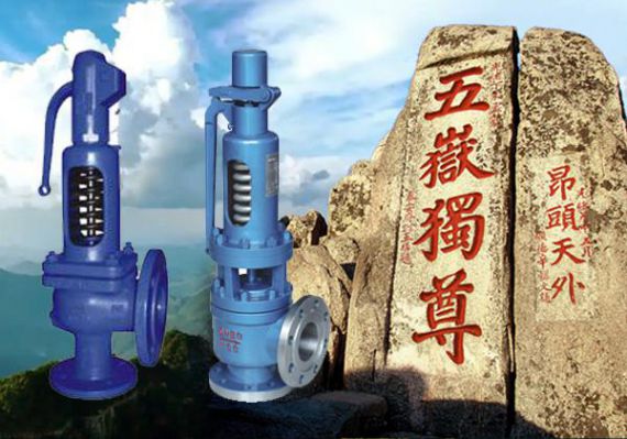 上海五岳泵阀集团：蒸汽安全阀在工业锅炉中的应用