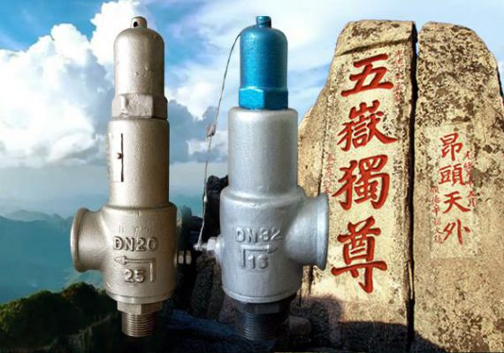 上海五岳泵阀集团：弹簧微启式安全阀在精密设备中的应用