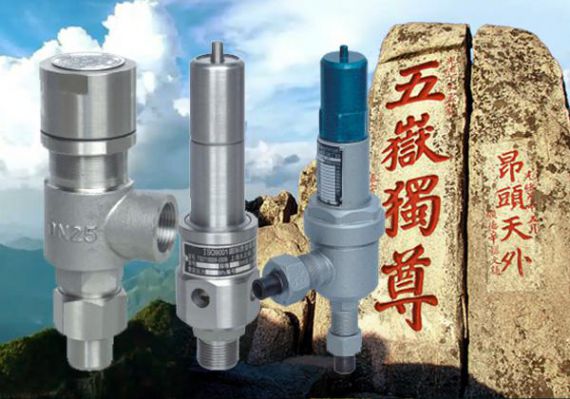 上海五岳泵阀集团：高压安全阀在石油化工设备中的应用